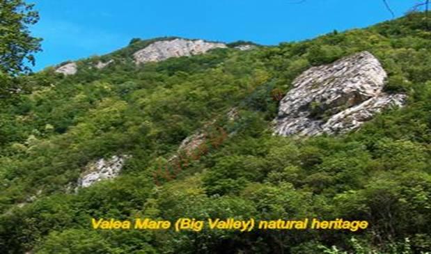 Rezervația Naturală Valea Mare