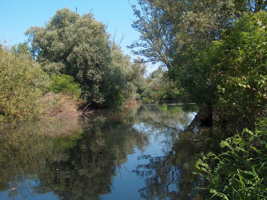 Rezervația naturală Balta Nera Dunăre