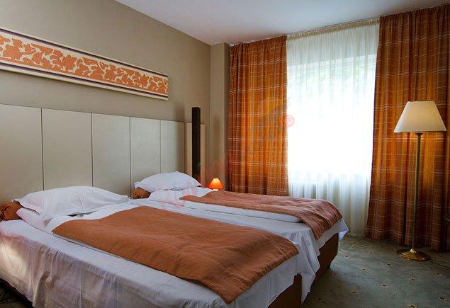 PRAHOVA Oferta la Munte 2021 - Hotel Rina Sinaia 