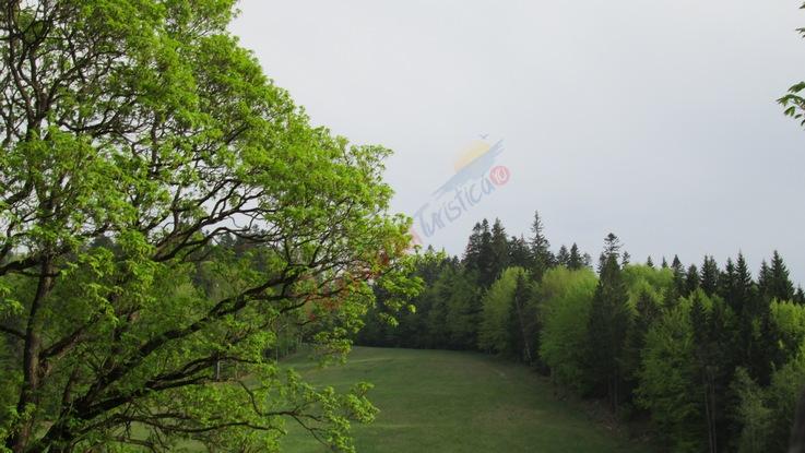Tabără Aventură de Toamnă la Predeal 2026