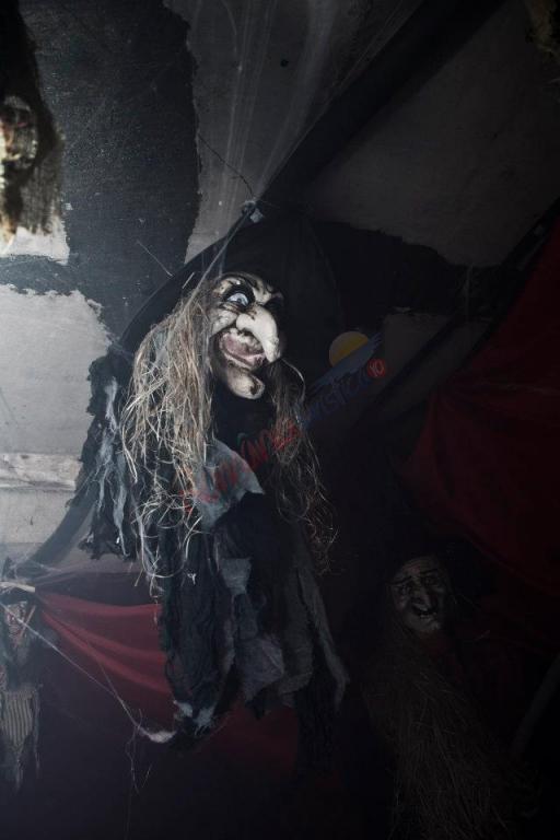 Halloween 2026 – Acasă la Contele Vampir Dracula