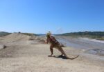 Excursie în lumea fantastică a dinozaurilor