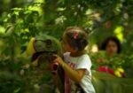 Excursie în lumea fantastică a dinozaurilor