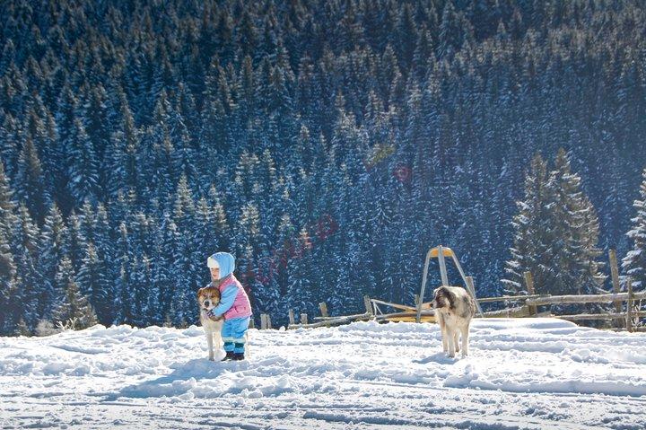 Tabără de Iarnă la Fundata, 2026