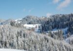 Tabără de Iarnă la Fundata, 2026