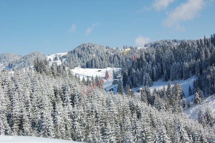 Tabără de Iarnă la Fundata, 2026