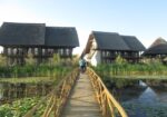 Ofertă Delta Dunării 2026 – Green Village Sfantu Gheorghe