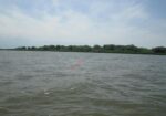 Sejur de Paște în Paradisul Deltei Dunării