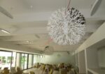 Ofertă Litoral 2026 – Hotel Melodia Venus