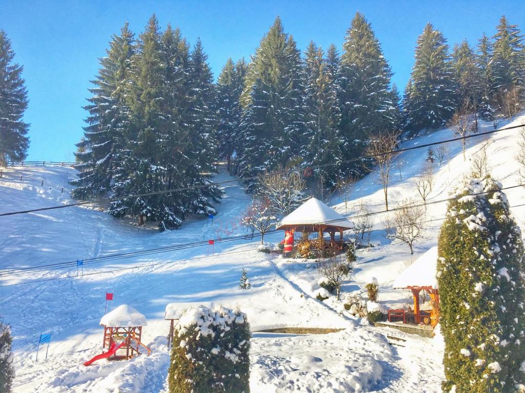 Crăciun Tradițional Maramureșean la Borșa