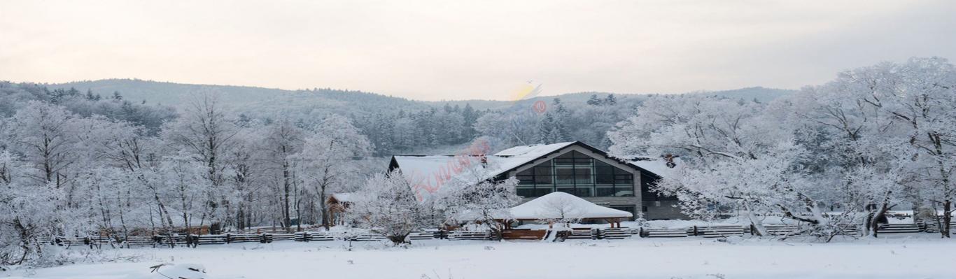 Crăciun 2025 în Bucovina – ”Piriu Morii”  Mânăstirea Humorului
