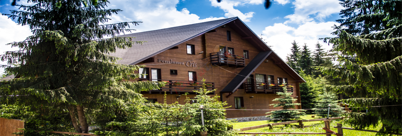 Crăciun 2025 în Bucovina – Pensiunea Cris  Dorna Arini