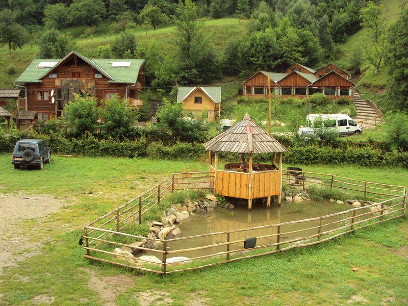 Crăciun 2025 Mărginimea Sibiului – Cabana Nora