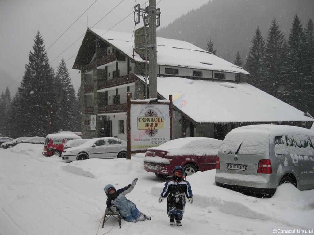 Revelion 2026 Transfăgărășan – Conacul Ursului Arefu