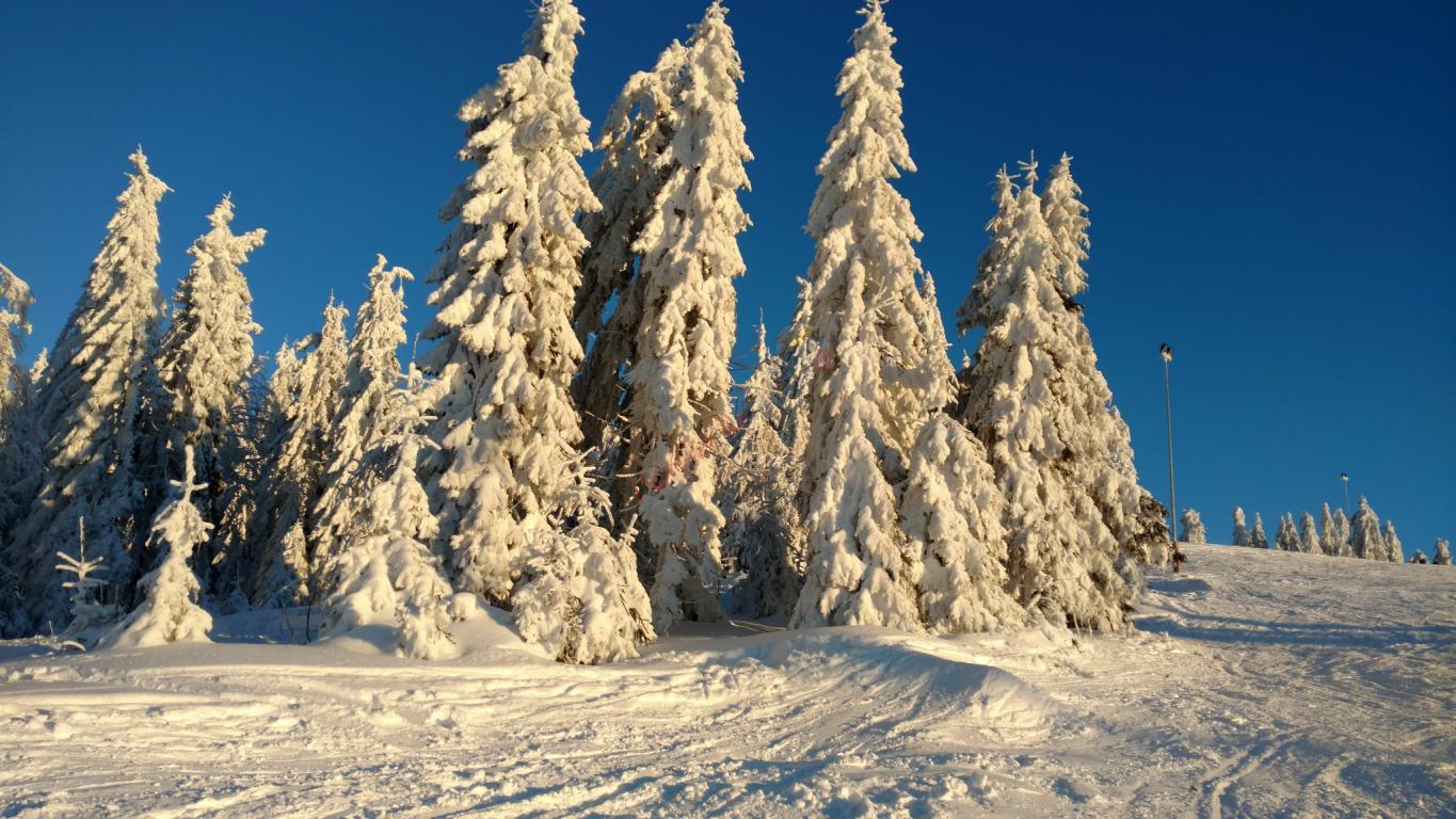 Weekend la Ski – Arieșeni-Vârtop