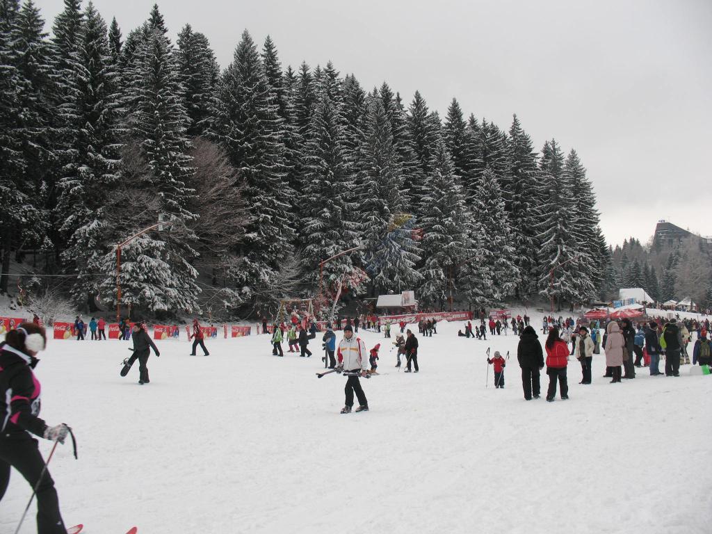 Tabără de Schi la Poiana Brașov 2026