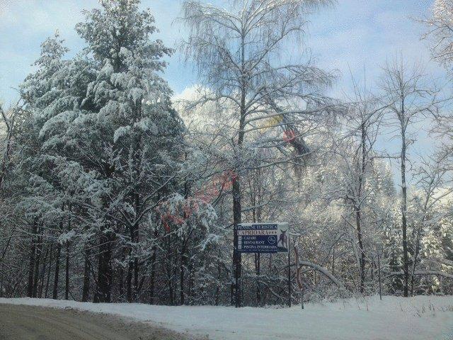 Crăciun 2025 în Maramureș – Pensiunea Căprioara  Firiza
