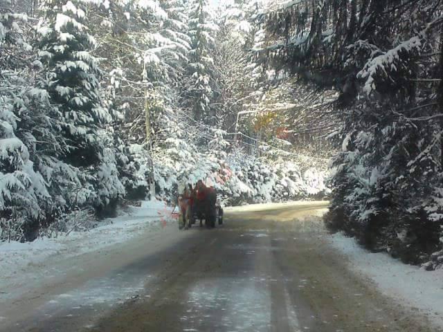 Crăciun 2025 în Maramureș – Pensiunea Căprioara  Firiza
