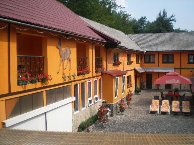 Revelion 2026 în Maramureș – Pensiunea Căprioara Firiza