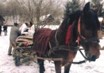 Crăciun 2026 în Maramureș – Târgu Lăpuș
