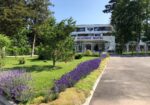 Ofertă Litoral 2026  –  Hotel Academy Venus