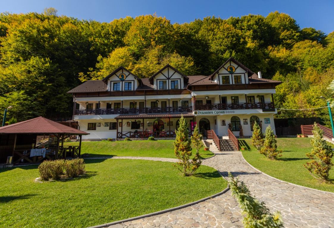 Ofertă Weekend în Rezervația Naturală Valea Vâlsanului
