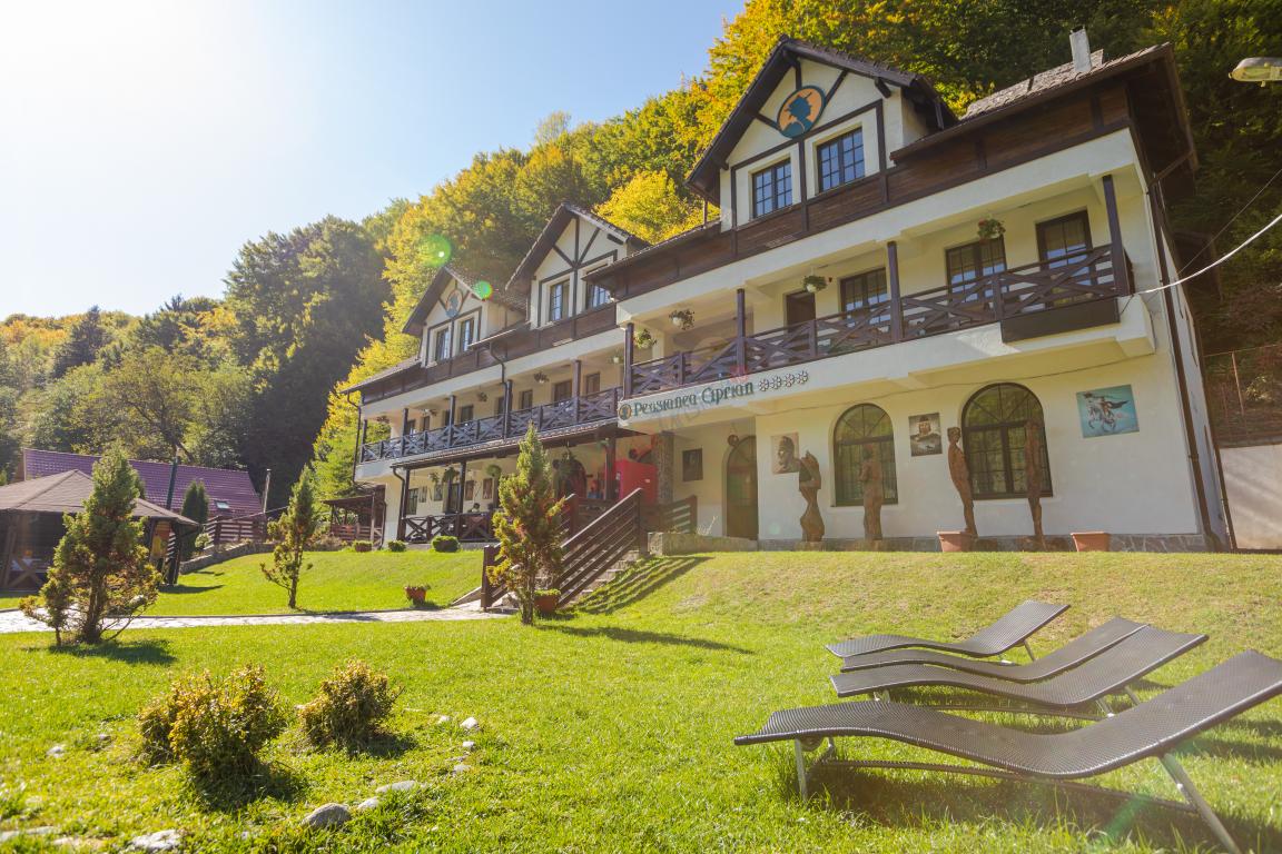 Vacanță în Rezervația Naturală  Valea Vâlsanului
