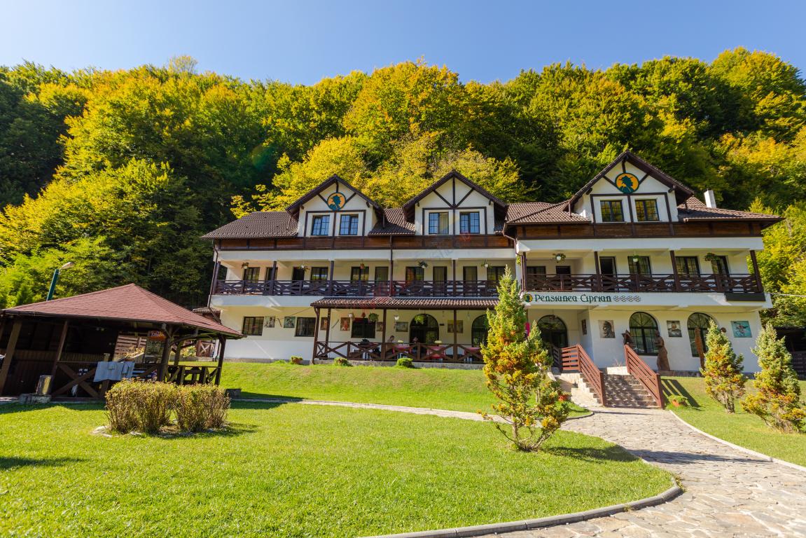 Vacanță în Rezervația Naturală  Valea Vâlsanului