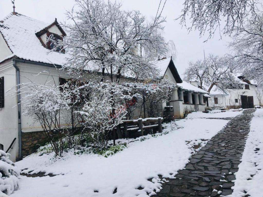 Revelion 2027 nobiliar la Castelul Kalnoky din Miclosoara