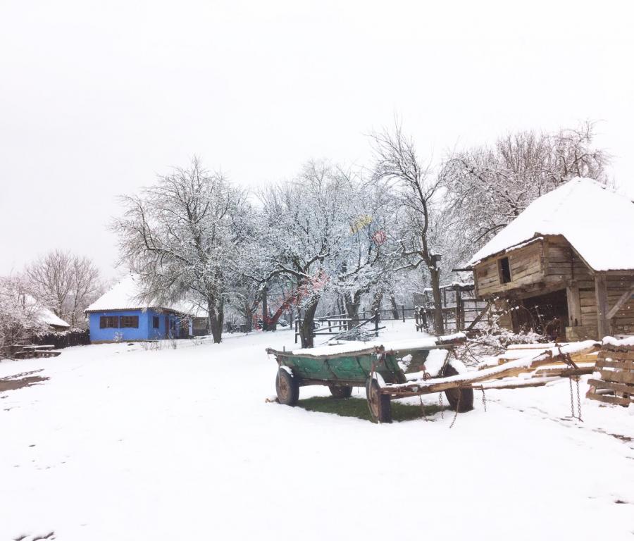 Revelion 2027 nobiliar la Castelul Kalnoky din Miclosoara