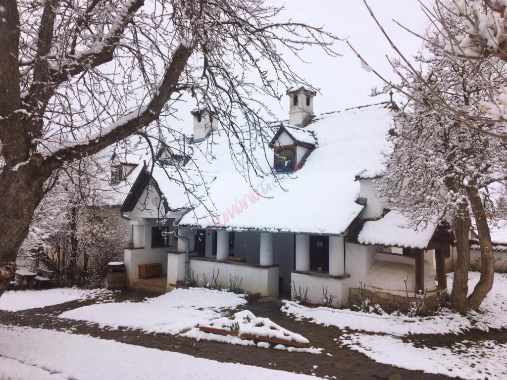 Revelion 2027 nobiliar la Castelul Kalnoky din Miclosoara