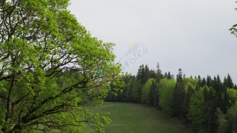 Tabără de Vară la Munte – Predeal, 2026