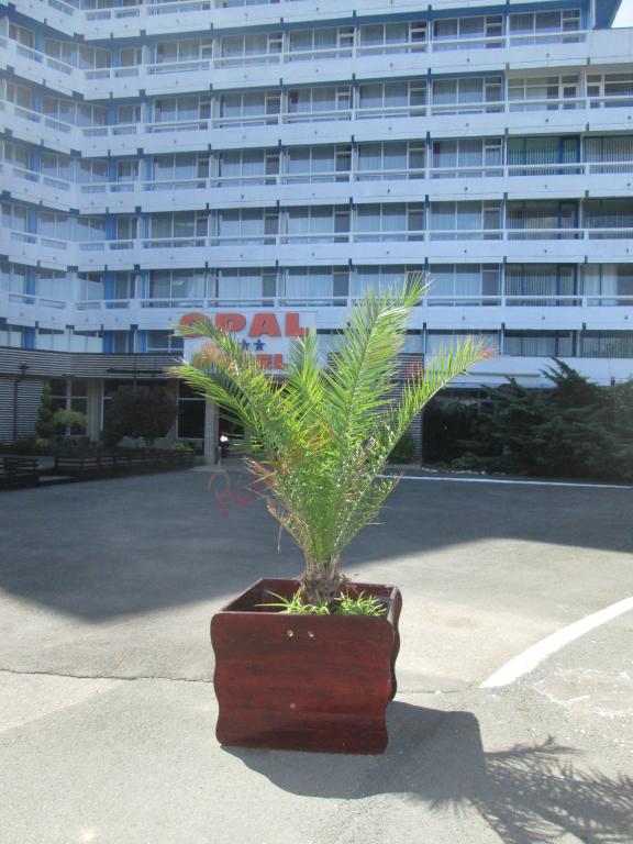 Ofertă Litoral 2026-Hotel Opal Cap Aurora