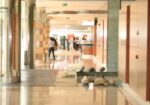 Ofertă Litoral 2026 – Hotel Europa Eforie Nord
