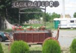 Ofertă Litoral 2026 – Hotel Lacul Racilor Olimp