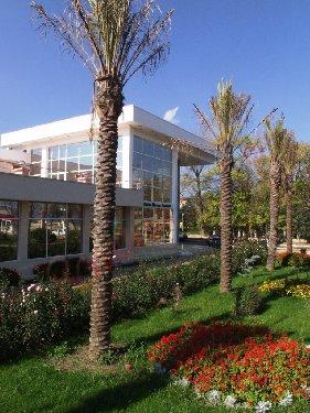 Ofertă Litoral 2026 – Hotel Qeen Vera Mamaia