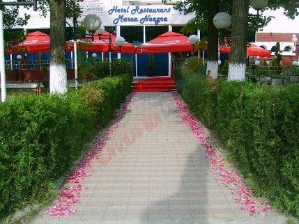 Ofertă Litoral 2026 – Hotel Marea Neagră Mamaia