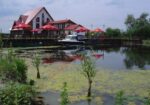 Ofertă Delta Dunării 2026 – Pensiunea Eden Crișan