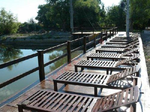 Ofertă Delta Dunării 2026 – Pensiunea Eden Crișan