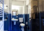 Ofertă Delta Dunării 2026 – Peninsula Resort  Murighiol