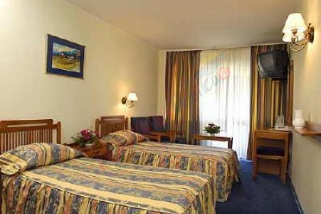 Ofertă la Munte 2026 – Hotel Internațional Sinaia