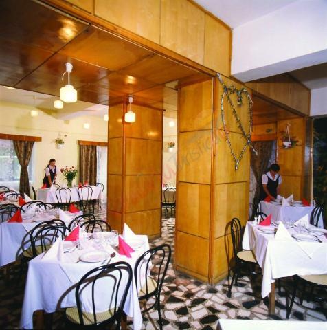 Revelion 2026 – Hotel Traian Călimănești-Căciulata