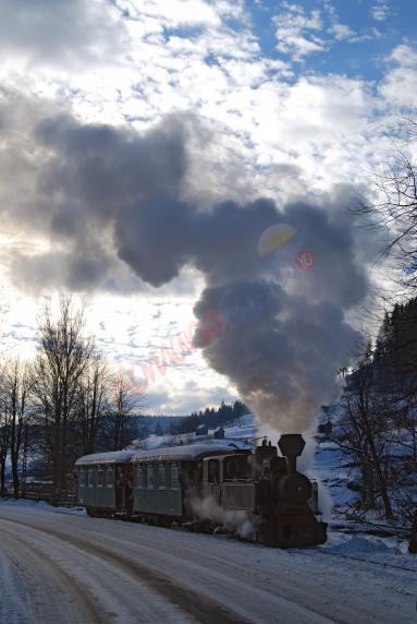 Revelion în Bucovina cu Mocănița Huțulca  Moldovița