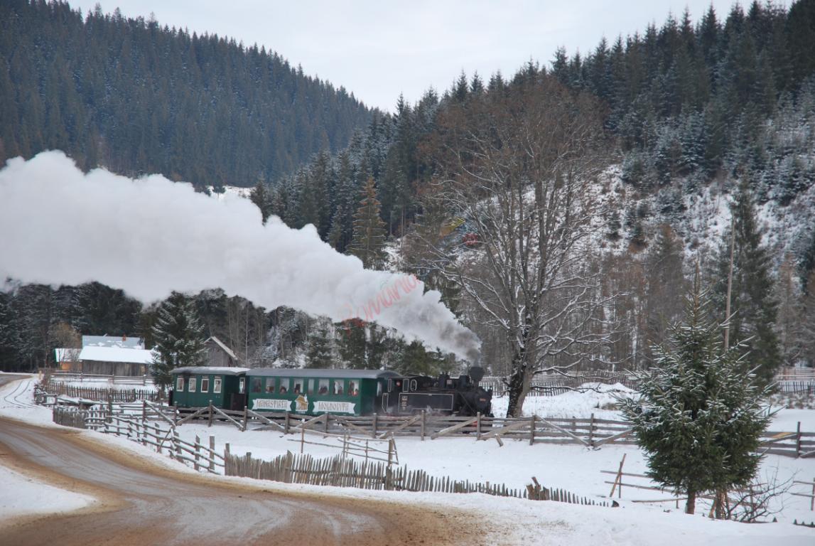 Revelion în Bucovina cu Mocănița Huțulca  Moldovița