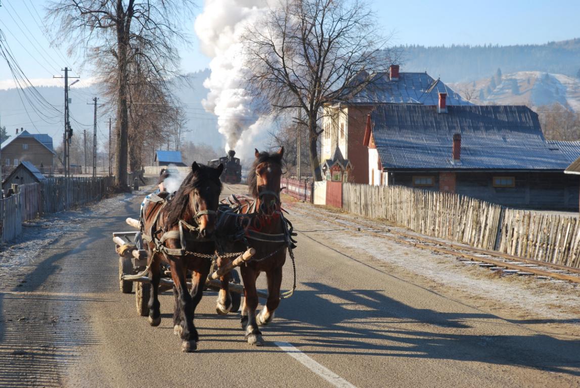 Revelion în Bucovina cu Mocănița Huțulca  Moldovița