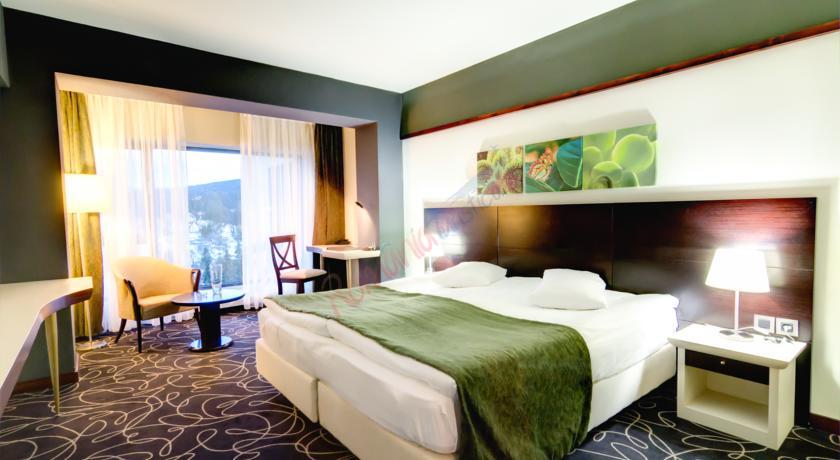 Revelion 2026 – Hotel Orizont Predeal