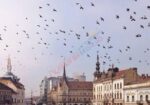 Ofertă Cazare Untold 2026 Cluj Napoca