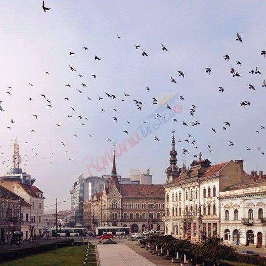 Ofertă Cazare Untold 2026 Cluj Napoca