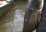 Primavară în Delta Dunării – All Inclusive