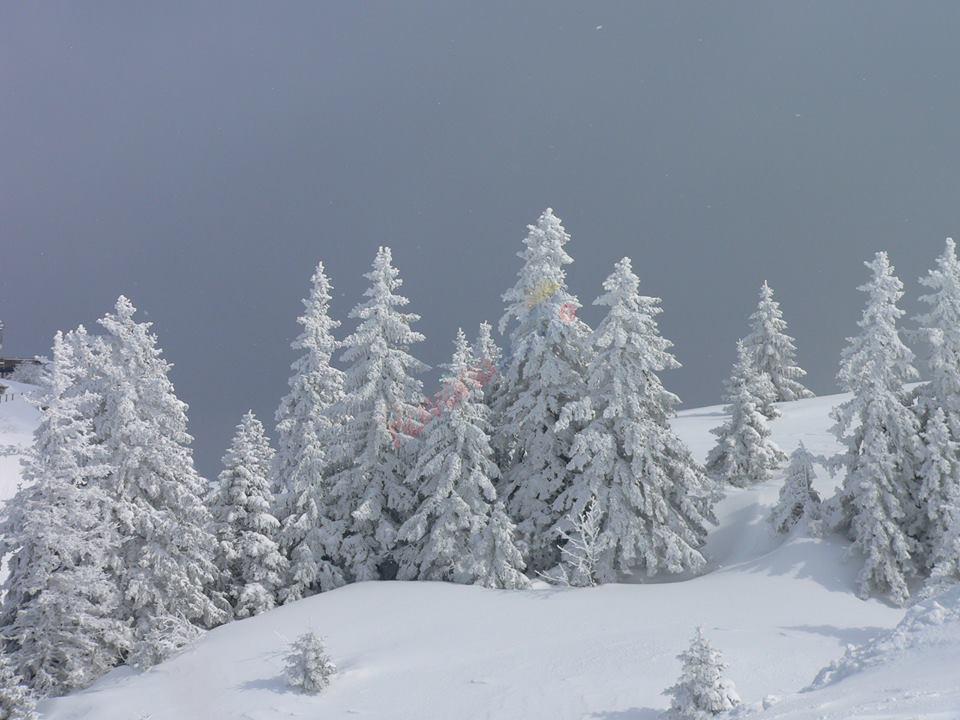 Crăciun de Vis într-un colț de rai – Bucovina – Perla Bucovinei  Voroneț